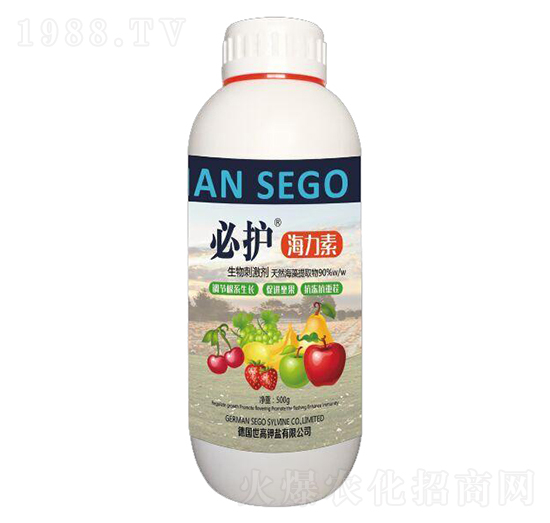 ������-���o-����������