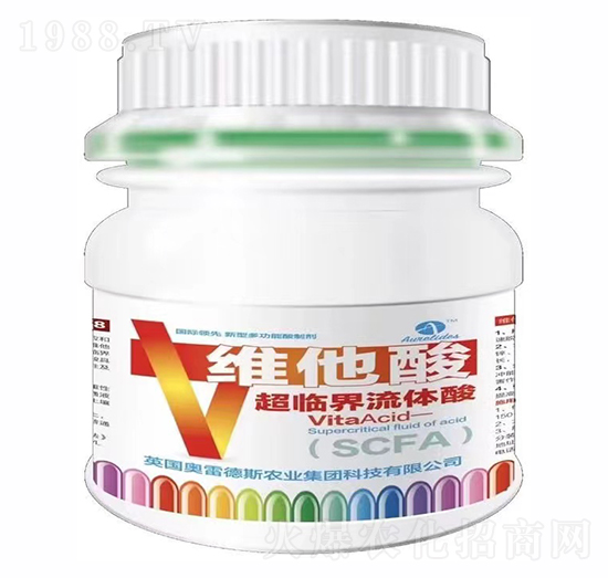 �S���ᳬ�R�����w��-�W�׵�˹