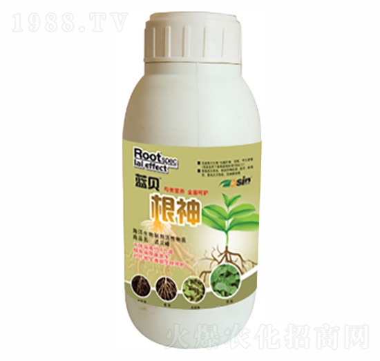 根神-藍(lán)貝-康爾特