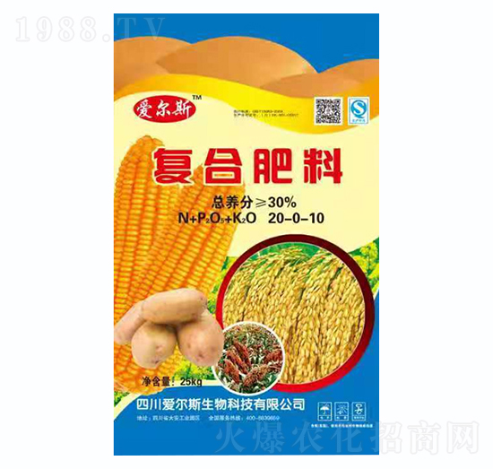 �ͺϷ���20-0-10-�۠�˹����