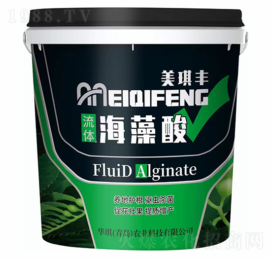 ���w������-�����S-�A��