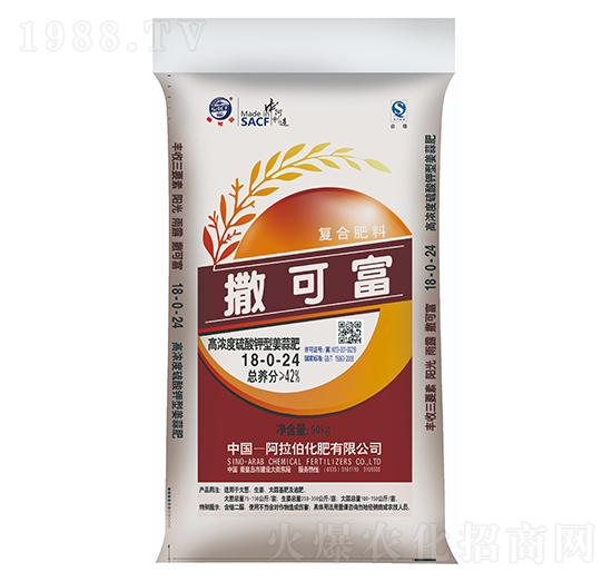 �ߝ��������ͽ����18-0-24-���ɸ�-����������