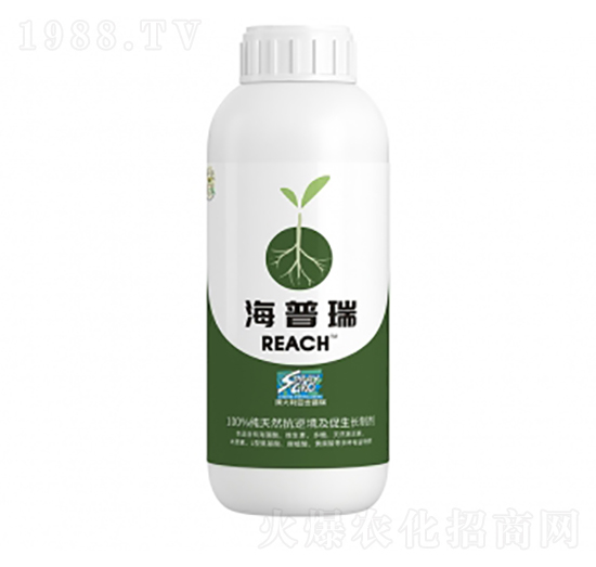 ������-�����ط�