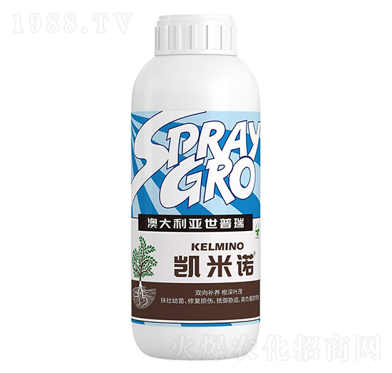 �P���Z-�����ط�