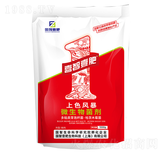 上色風暴-國智壹肥