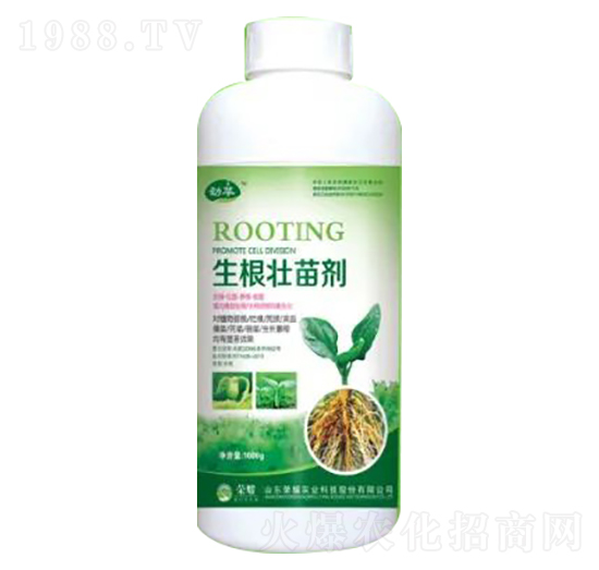 1000g�������焩-�sҫ�r�I(y��)