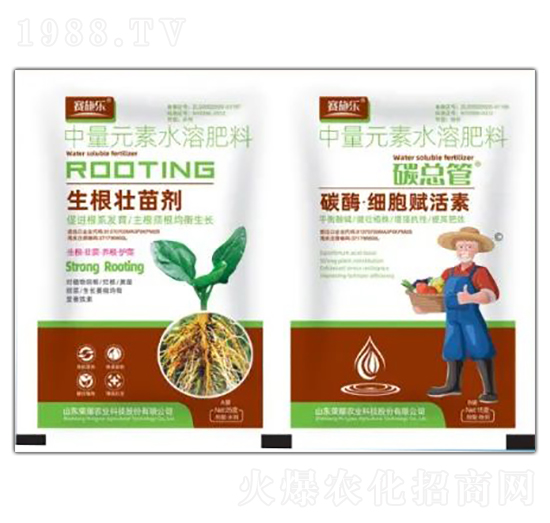 �������焩+̼ø-�����x����-�sҫ�r(n��ng)�I(y��)