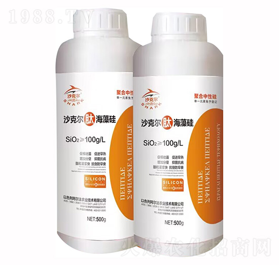 ɳ�ˠ��ź����-�������r(n��ng)�I(y��)