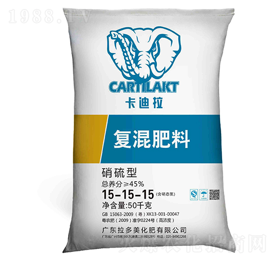 �����͏ͻ����15-15-15-������-������