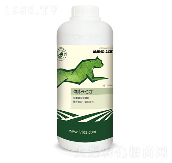 ���������̼���-���}�L����-�G���_