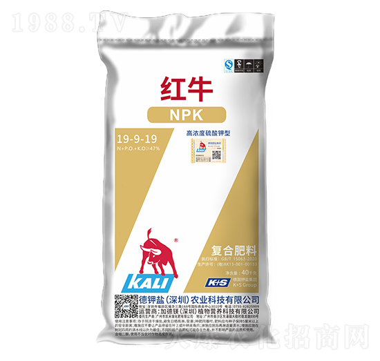 �ߝ��������͏�(f��)�Ϸ���19-9-19-�tţ-����}�r(n��ng)�I(y��)