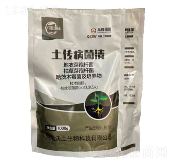 ����������-�ډѴT�S-��������