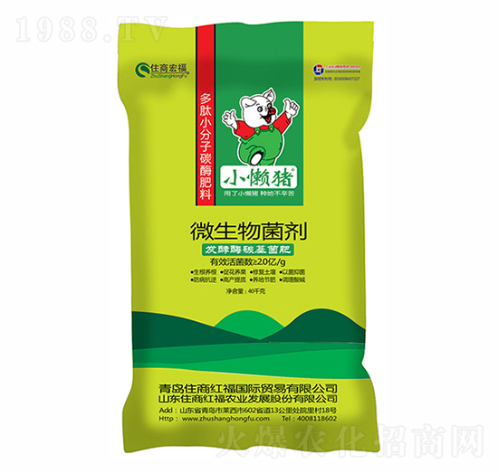 ΢�������-С���i-ס�̺긣