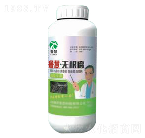 �o(w��)����-��������