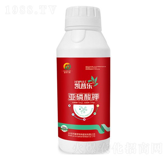 �������-�P�՘�-�Ŵ�����