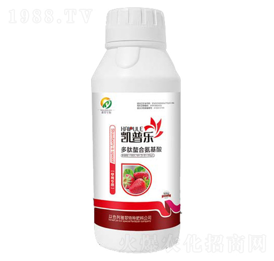 ��ݮ���ö������ϰ�����-�P�՘�(l��)-�Ŵ�����