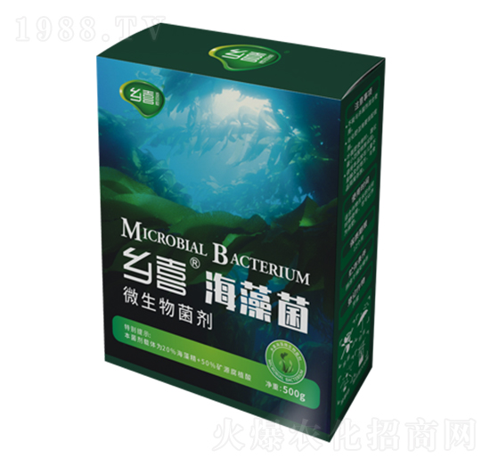 �l(xi��ng)ϲ�����-�l(xi��ng)ϲ