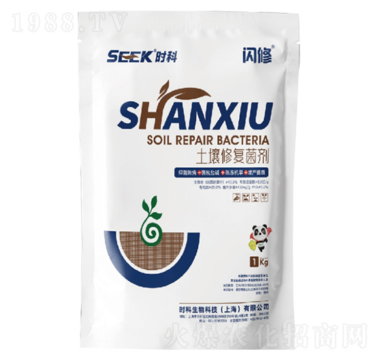 �W��(�����ޏ;���)-�r������