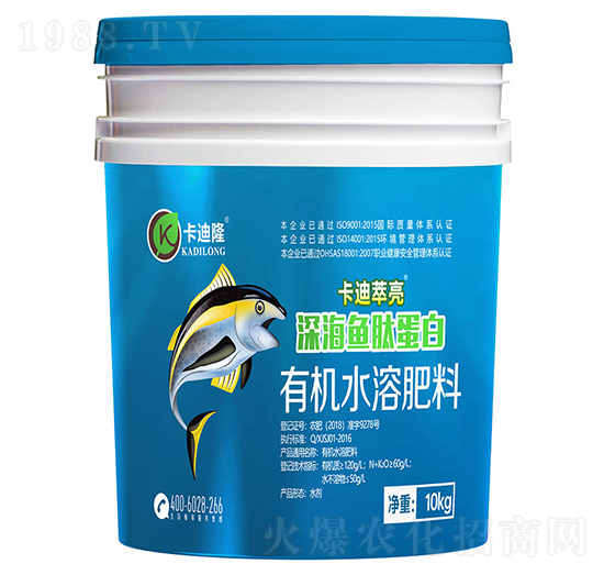 ��~�ĵ���-��������-����¡