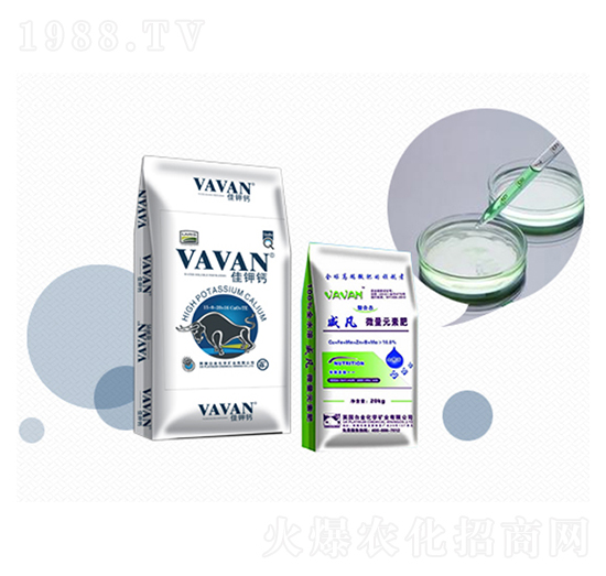 �M(j��n)�ڷ���-����}-�Kӯ(li��n)���B(t��i)