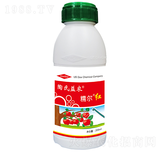 Ŵ���t-�������r