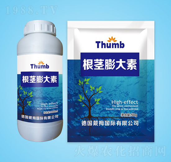 ���o�����-����r�I(y��)