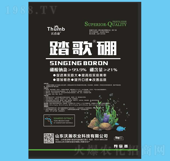 ̤�衤��-������-����r�I(y��)