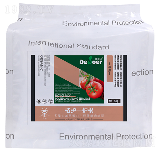 ���o-�o�������ѣ�-�ϸ�