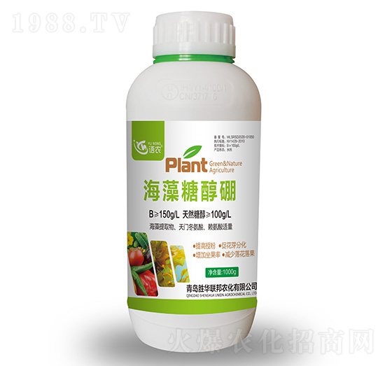 �����Ǵ���-�Z�r(n��ng)-���A(li��n)��