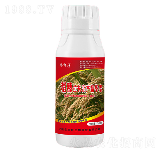 稻穗拉長高產(chǎn)精華素-郭師傅-立信生物