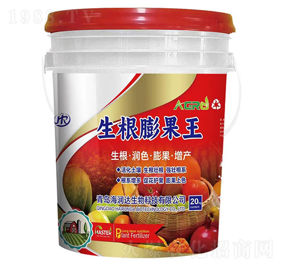 ���������-�����_����