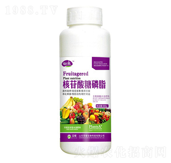 ����������֬��500g��-����-�sҫ�r(n��ng)�I(y��)