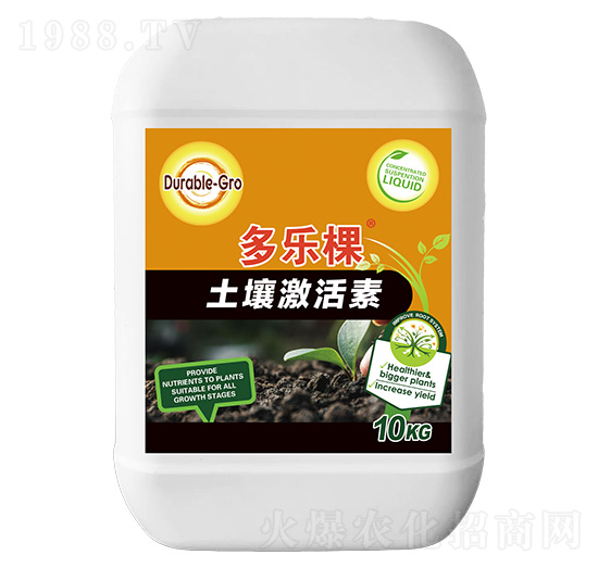 ����������-������