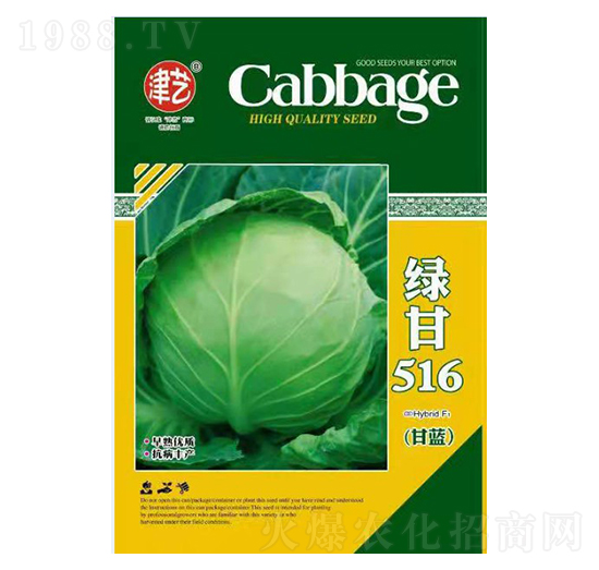 甘藍(lán)種子-綠甘516-邯豐農(nóng)業(yè)