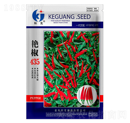 �G��435�����N��-�ƹ�N��