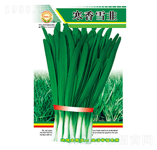 韭菜種子-寒香雪韭-太樂種業(yè)