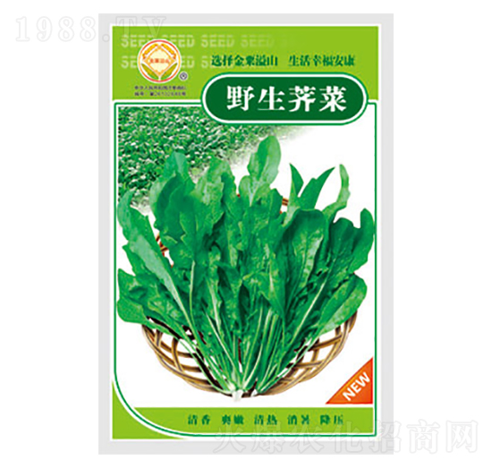 薺菜種子-野生薺菜-太樂種業(yè)