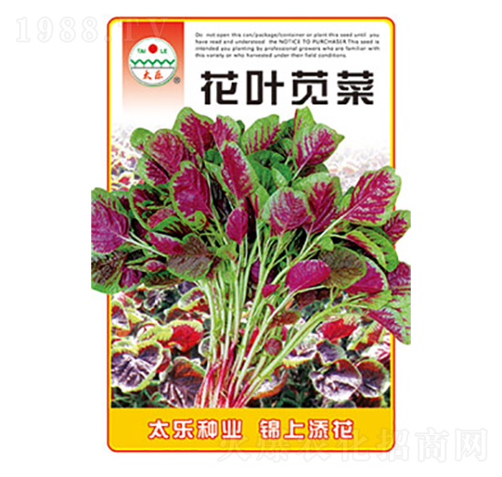 莧菜種子-花葉莧菜-太樂(lè)種業(yè)