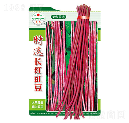 �����N��-���x�L(zh��ng)�t����-̫���N�I(y��)