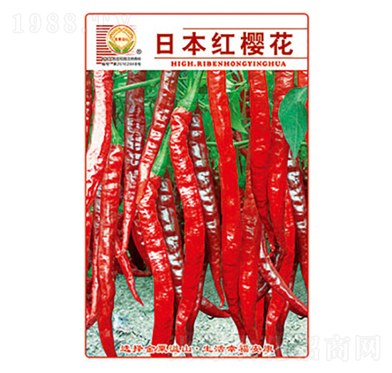 辣椒種子-日本紅櫻花-太樂(lè)種業(yè)