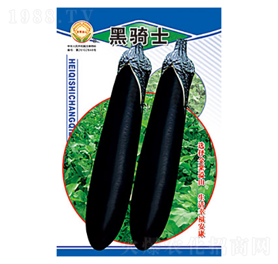 茄子種子-黑騎士-太樂(lè)種業(yè)