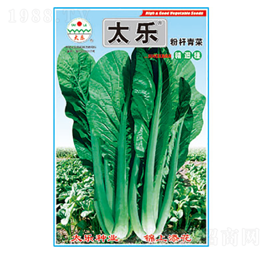 ��˷N��-�ۗU���-̫��(l��)�N�I(y��)