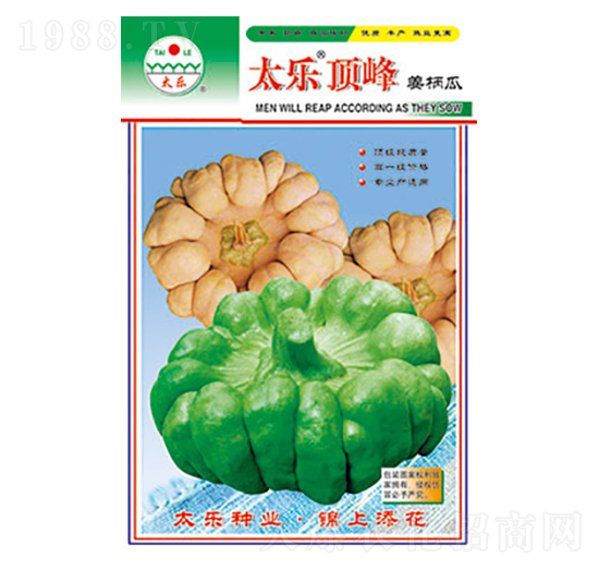 姜柄瓜種子-太樂(lè)頂峰-太樂(lè)種業(yè)