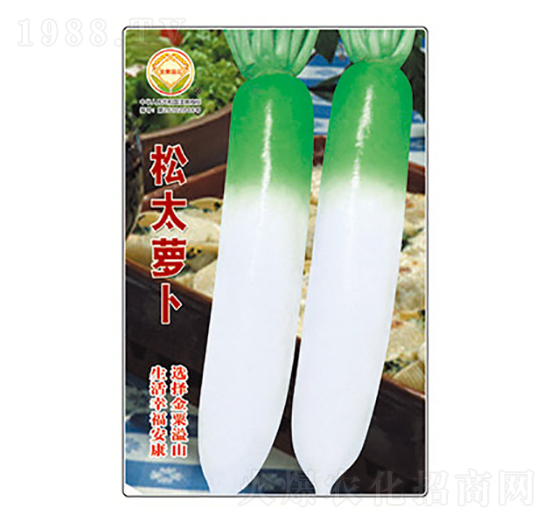 �}���N��-��̫�}��-̫��(l��)�N�I(y��)