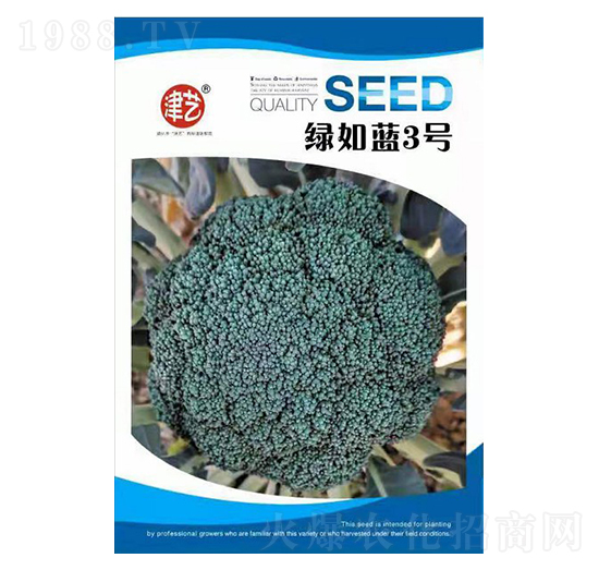 西蘭花種子-綠如藍(lán)3號(hào)-邯豐農(nóng)業(yè)