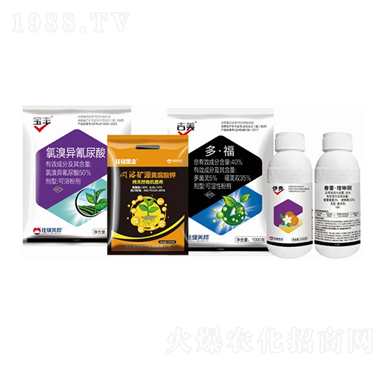 ����������Q����-�����