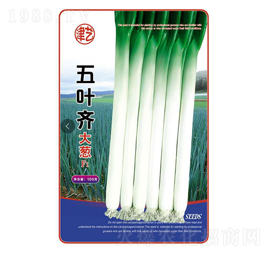 ���[�N��-���~�R���[-���S�r(n��ng)�I(y��)