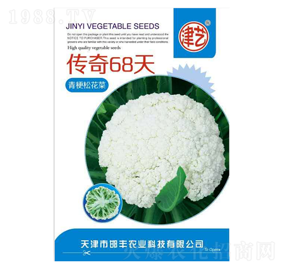 花菜種子-傳奇68天-邯豐農(nóng)業(yè)