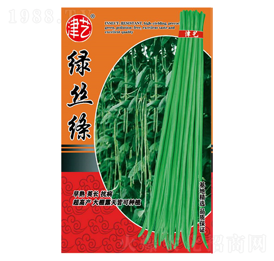 豆角種子-綠絲絳-邯豐農(nóng)業(yè)