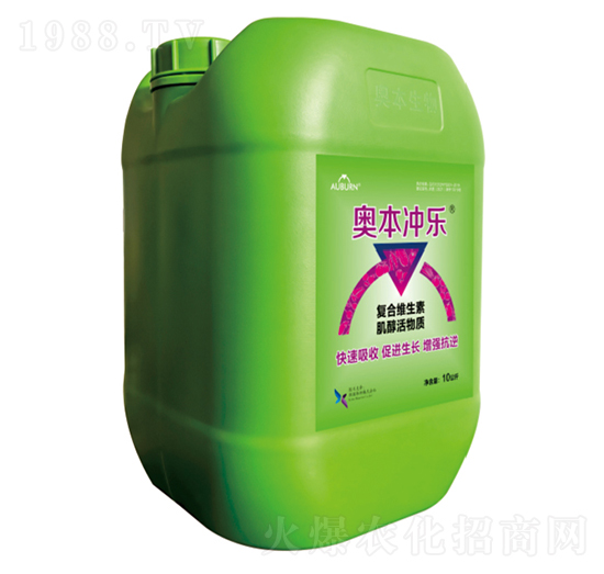 �W���_��-ϲ��{��